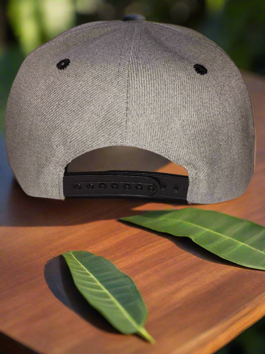 PREMIUM HEADWEAR SNAPBACK  HAT