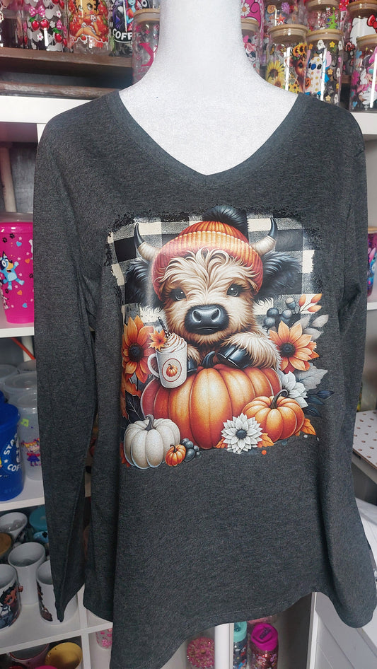 Long sleeve V-neck